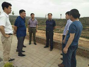 陕西澄城县丧事视频,传统习俗与现代变迁的交融展现